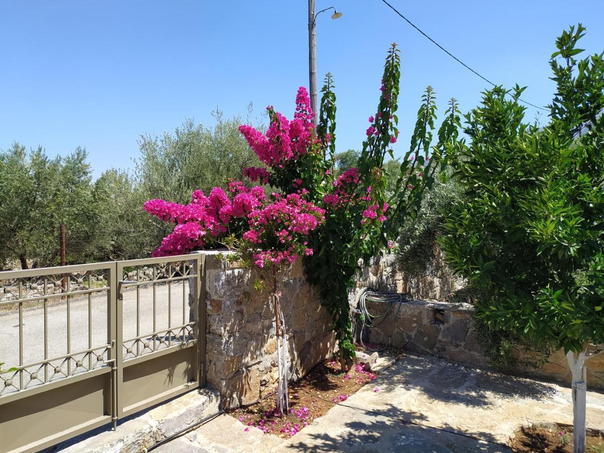 "Villa Kastania" Melidoni, Chania, Crete Dış mekan fotoğraf