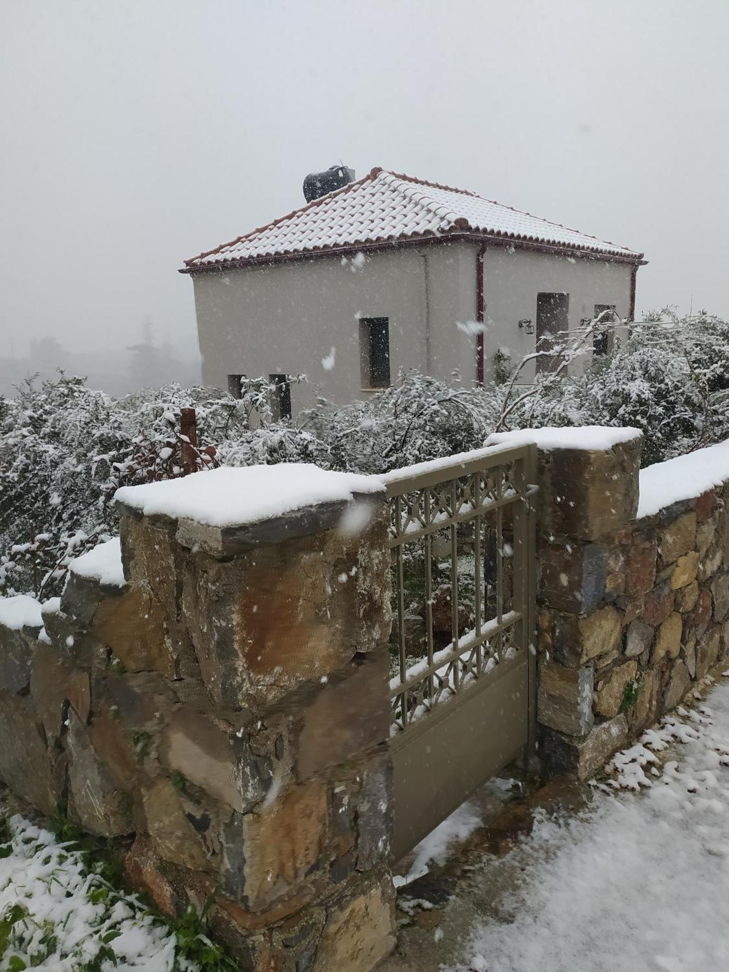 "Villa Kastania" Melidoni, Chania, Crete Dış mekan fotoğraf