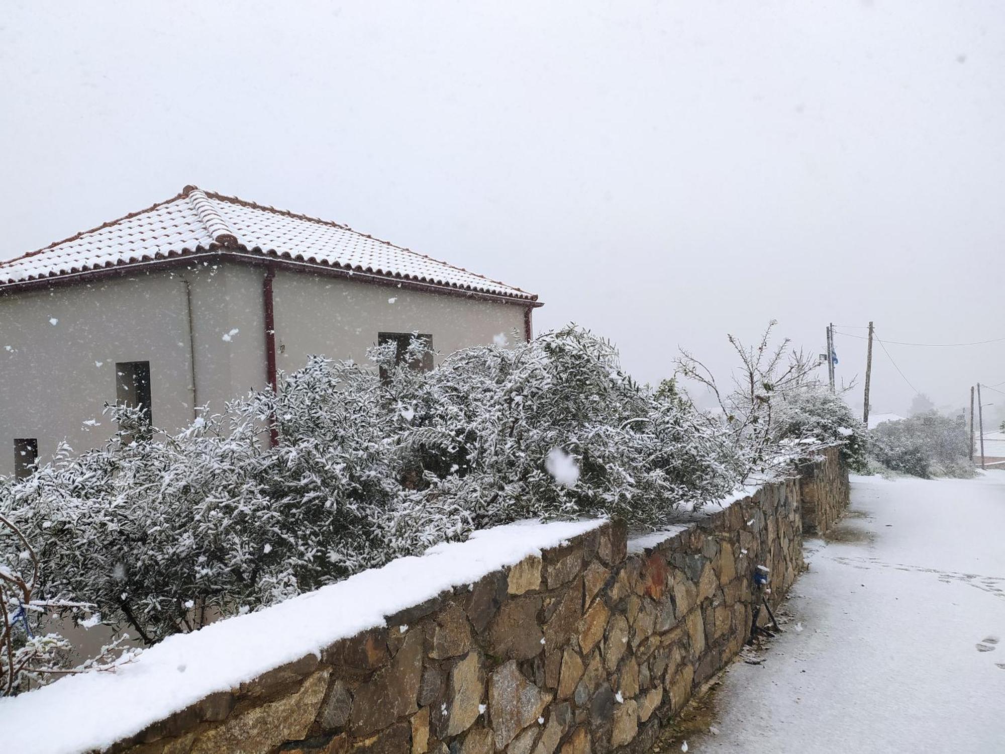 "Villa Kastania" Melidoni, Chania, Crete Dış mekan fotoğraf